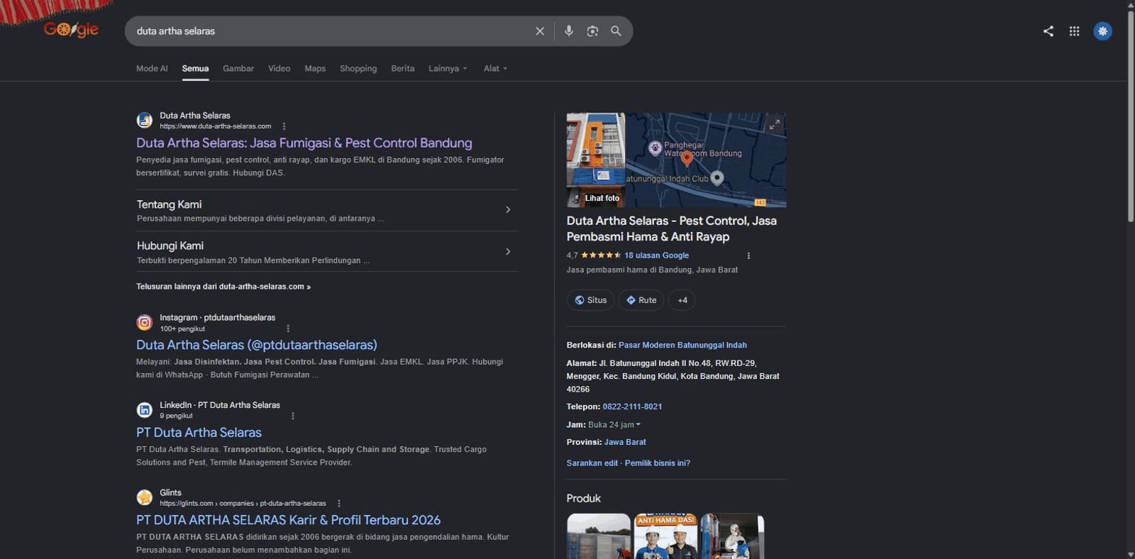 Google results for the brand, 17 August 2026: the site, the Business Profile and the social profiles all in place.